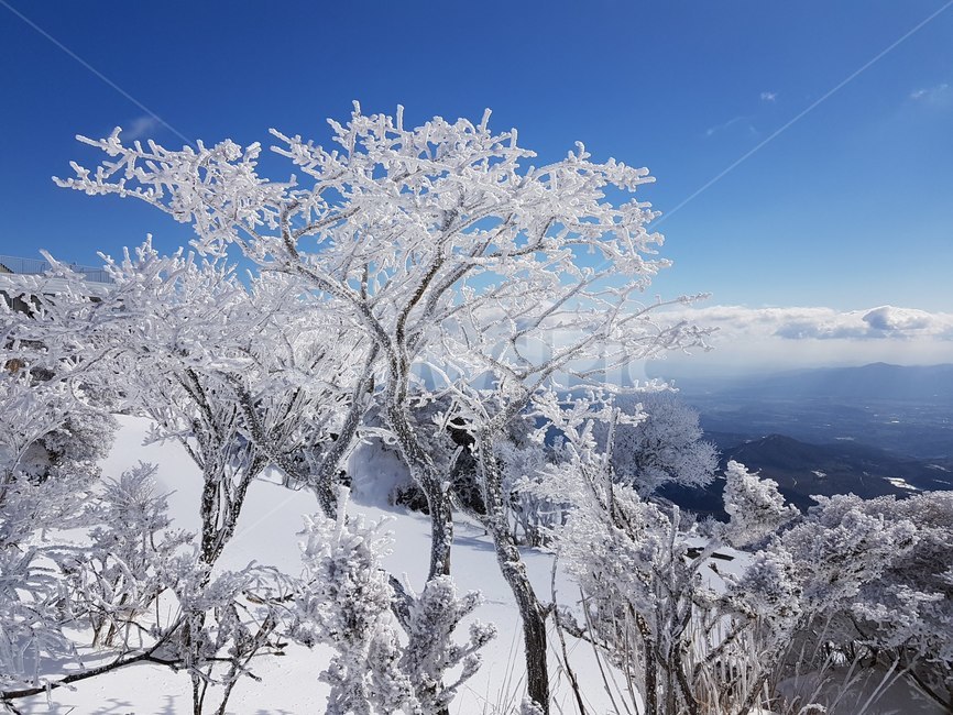 겨울산,산고대,등산,하늘,sky,snow,겨울바람,winter,겨울나무,겨울,계절,winter,season,자연,풍경,nature,landscape