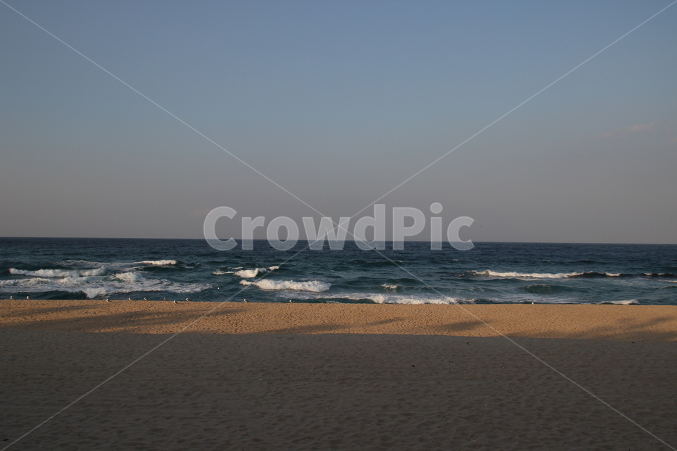 바다,경포해변,해변,파도,강릉,갈매기,해변,바다,beach,sea