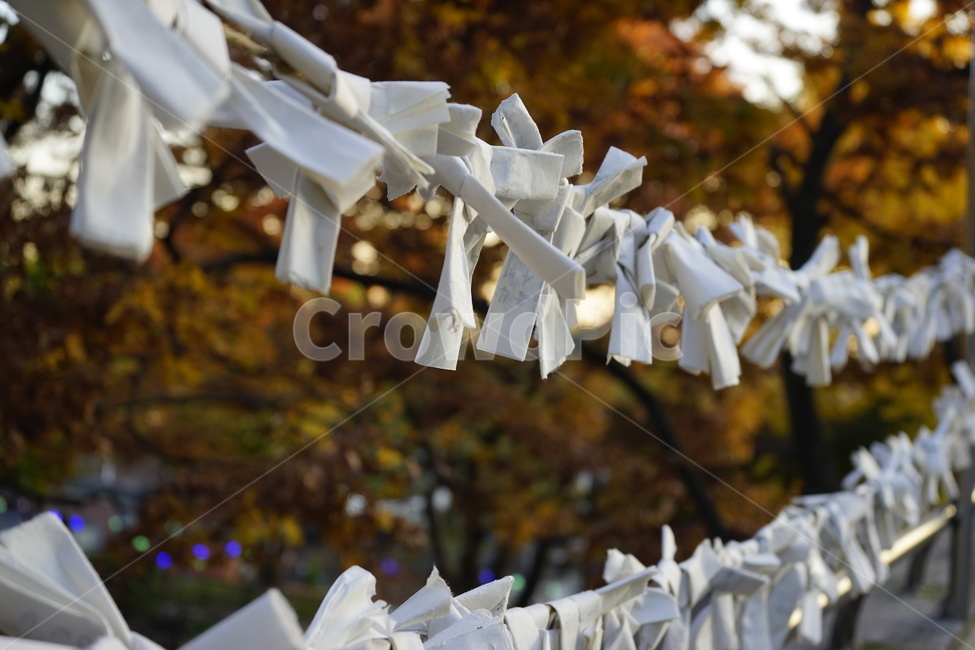 소원,종교의식,불교,흰종이,paper,종이접기,축원문