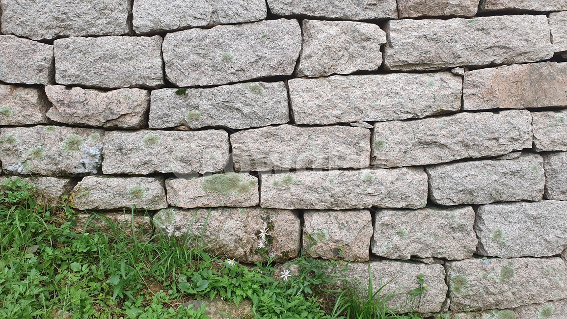 벽,돌담,돌,wall,풀