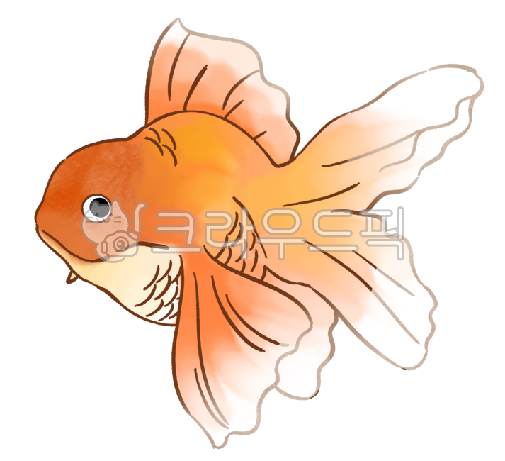금붕어,물고기,fish,goldenfish,관상어,어항,작은물고기,수중생물,바다생물,underwaterlife,수족관,aquarium,동물,animal,seaanimal,marinelife,해양생물,littlefish,어항꾸미기,주황색물고기,png,그래픽,일러스트,아트,디자인,벡터,graphic,illust,illustration,art,design,vector,일러스트레이션