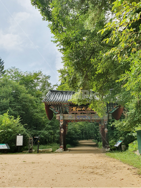 정원,절,기와,한국전통,전통건물,outdoors