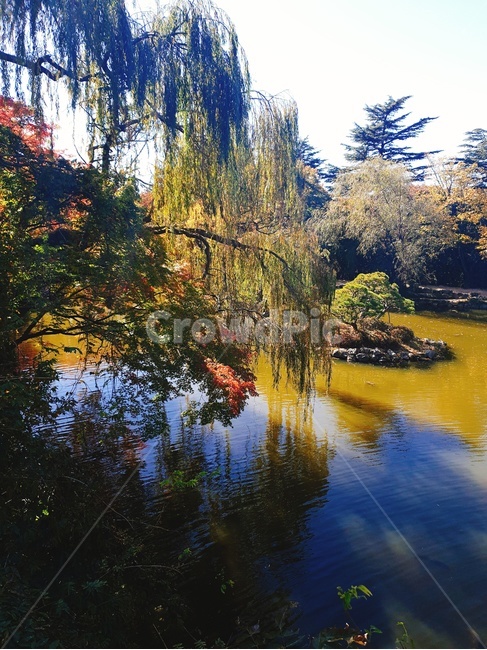 호수,단풍,풍경,연못,가을,가을,계절,fall,autumn,season,자연,풍경,nature,landscape,plant,식물,tree,나무,water,물,fir,전나무