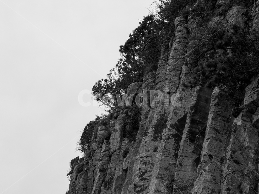 outdoors,옥외,nature,자연,cliff,낭떠러지,주상절리,현무암,절벽,바위,암석,rock,stone,제주,제주도,jeju,벽,wall