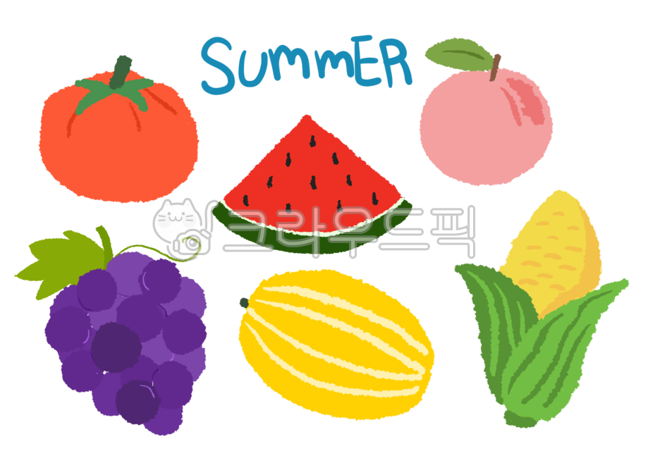summer illustration,fruit illustration,summer fruit,fruit,peach,tomato,grape,summer,corner,illustration,watermelon,melon