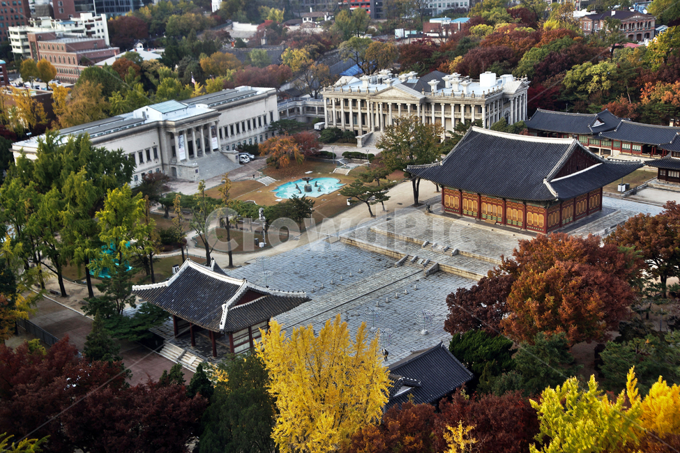 덕수궁,궁궐,가을,자연,도심,중화전,석조전,한국전통,한국문화,korean traditional,korean culture
