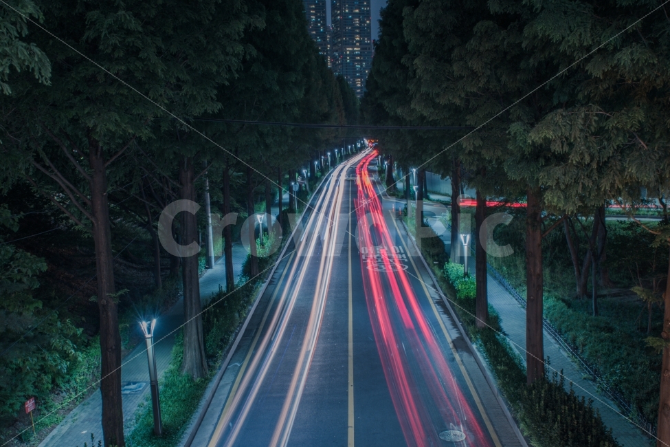 night view,road,tree,trajectory,Street lamp