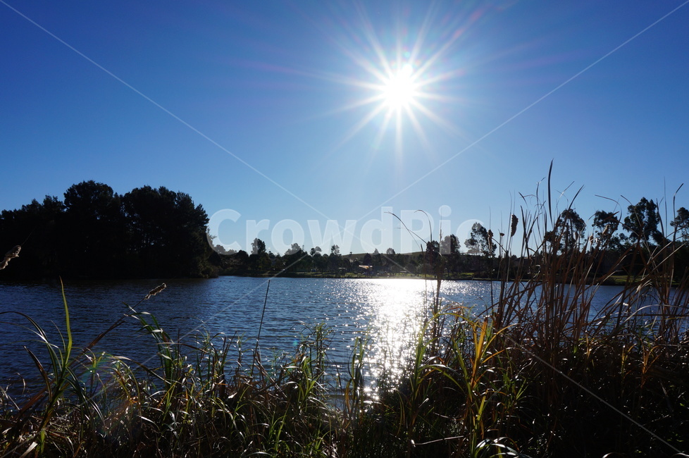 해,햇빛,자연광,호수,호수풍경,sun,sunshine,light,lake,자연,풍경,nature,landscape,outdoors,옥외,water,물