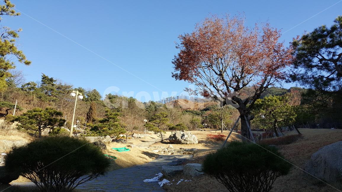 공원,자연,풍경,산,조경,나무,식물,경치,자연,풍경,nature,landscape,tree,plant,ground,바닥,tree trunk,나무 줄기