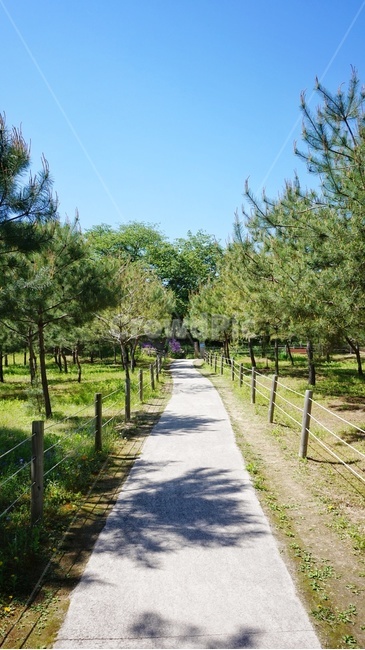 서울,풍경,자연,도시,한국