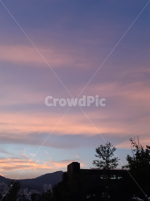 보랏빛하늘,하늘,풍경,핑크빛하늘,부산,자연,풍경,nature,landscape,outdoors,옥외,sky