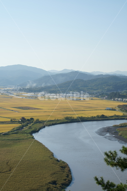순천만,순천만습지,습지,자연,nature,koreanature,landmark,wetland,korea