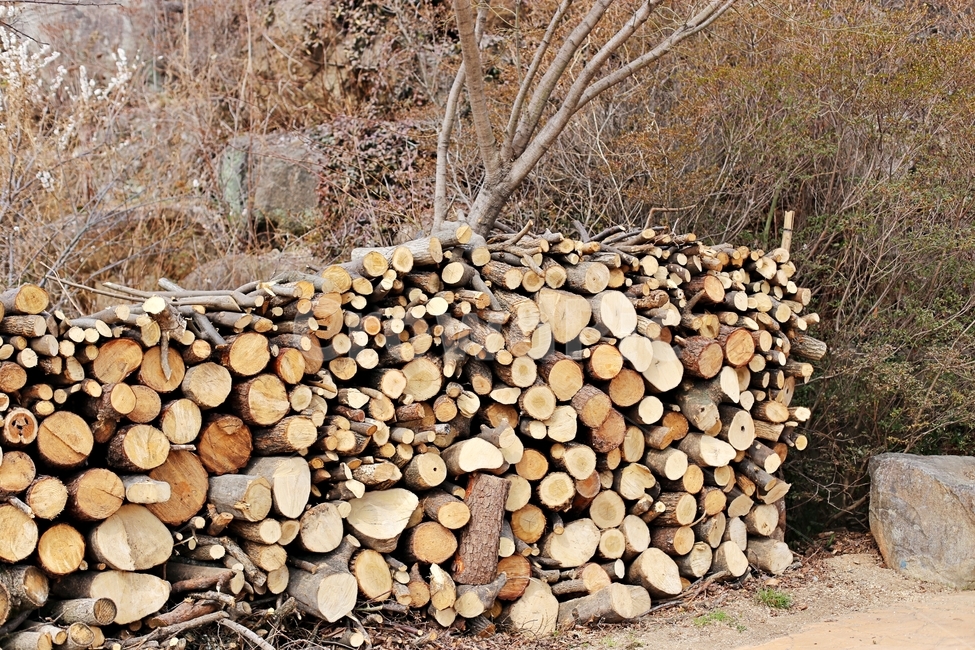 최참판댁,목재,땔감,나무,wood,woods,나무,trees,wood