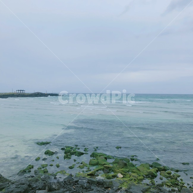 바다,제주도,여름,하늘,돌