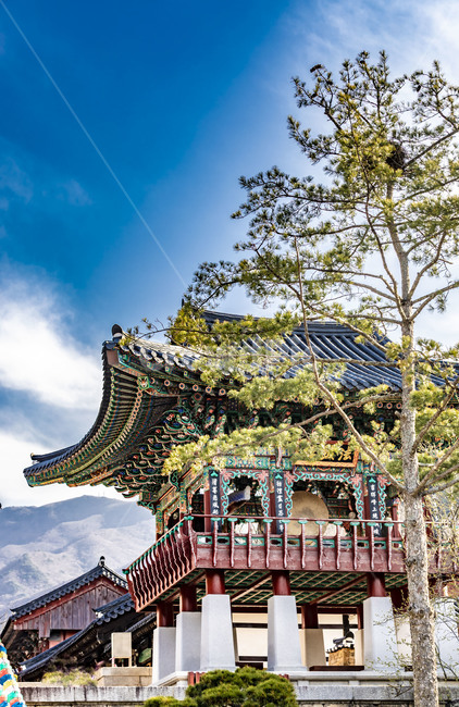 화엄사,종각,범종,법고,전통건축물,단청,사찰,관광지,염원,기원,풍경