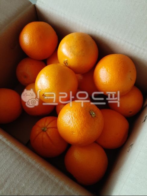 mandarin,parcel,citrus fruits,fruit,box,Box,Orange,food,tangerines,citrusfruit,orange,delivery box,fruits