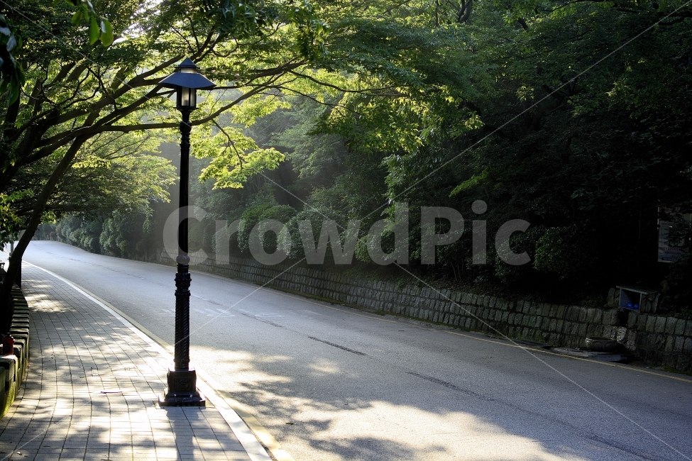 공원,가로등,빛내림,태종대,태종사,자연,풍경,nature,landscape