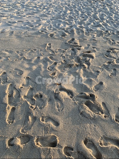 모래,모래사장,해수욕장,발자국,해변가,sand,beachsand,footprint