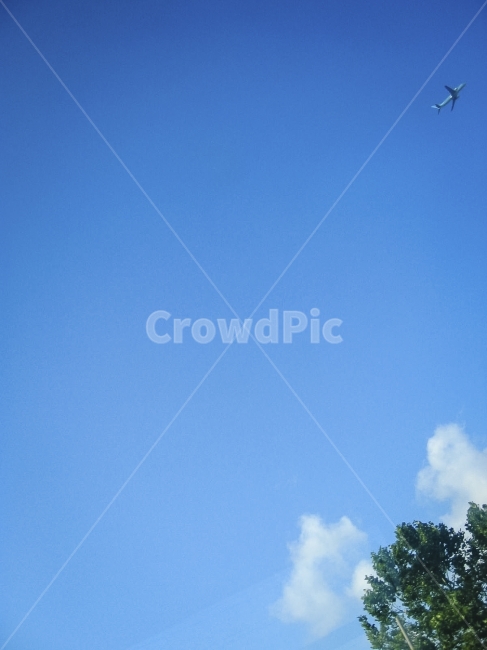 하늘,비행,나무,구름,이륙,떠나고싶음,flight,airplane,tree,cloud,wantoff,자연,풍경,nature,landscape,교통,교통수단,traffic,transportation,adventure,모험,leisure activities,레저 활동,flying,나는,animal,동물,bird,새