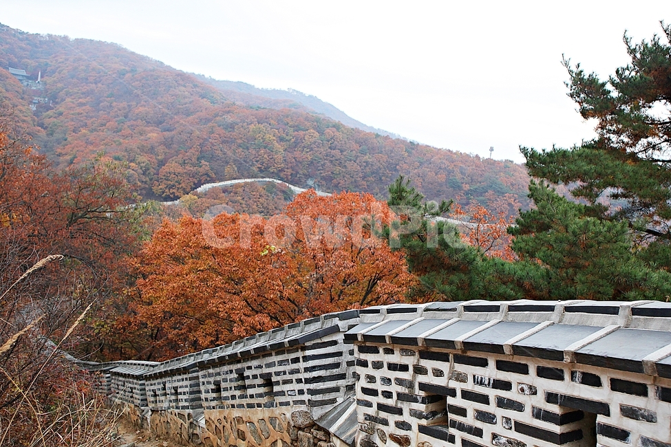 남한산성,성,성곽,단풍,낙엽,길,둘레길,담,돌담,가을,자연,풍경,벽,울긋불긋,산성,식물,가을,계절,fall,autumn,season,한국전통,한국문화,korean traditional,korean culture,tree,나무,plant