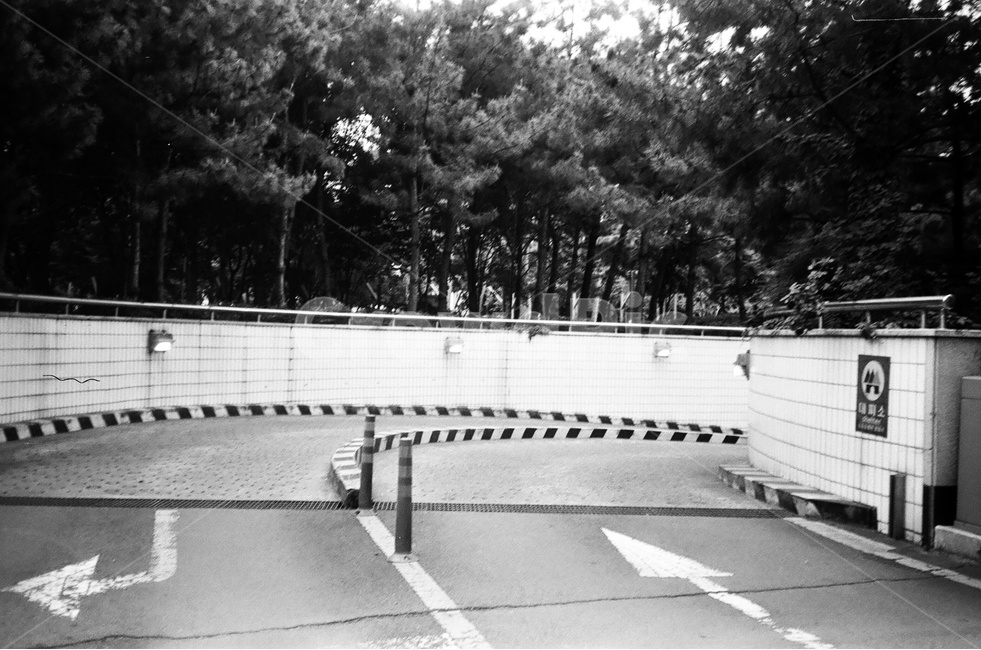 주차장,지하주차장,방향,표시판,나무,흑백,흑백,모노톤,monochrome,black and white,교통,교통수단,traffic,transportation
