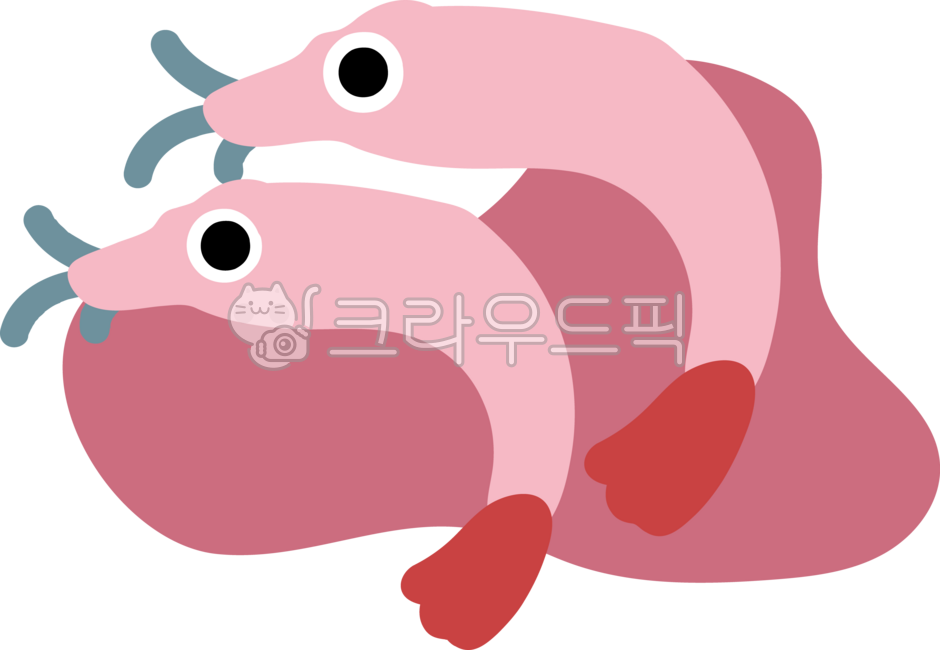 food,새우,새우젓,요리재료,음식