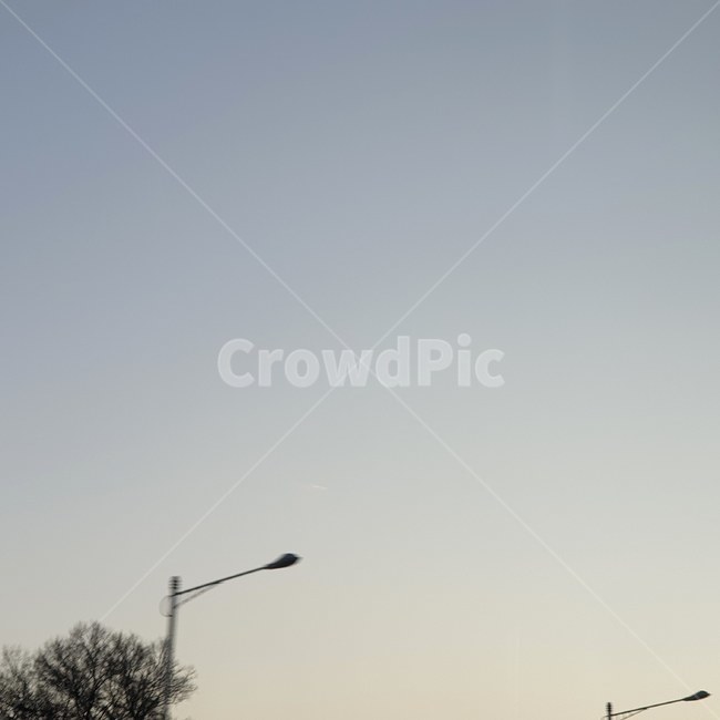 가로등,노을지기전,하늘,sky,나무