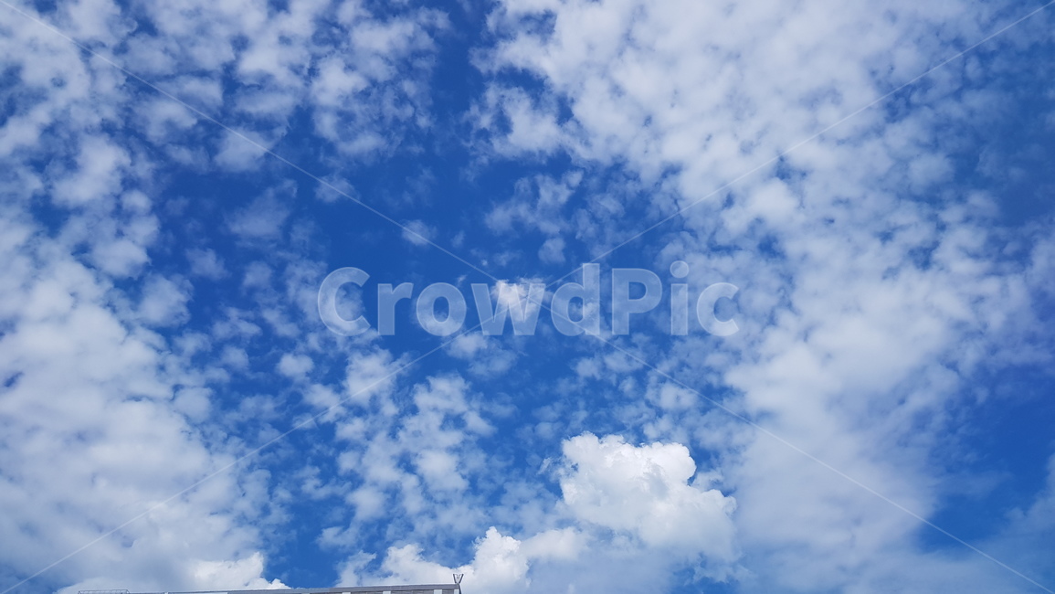 여름하늘,여름구름,구름낀하늘,하늘,자연,sky,cloud,bluesky,구름,파란하늘,summersky