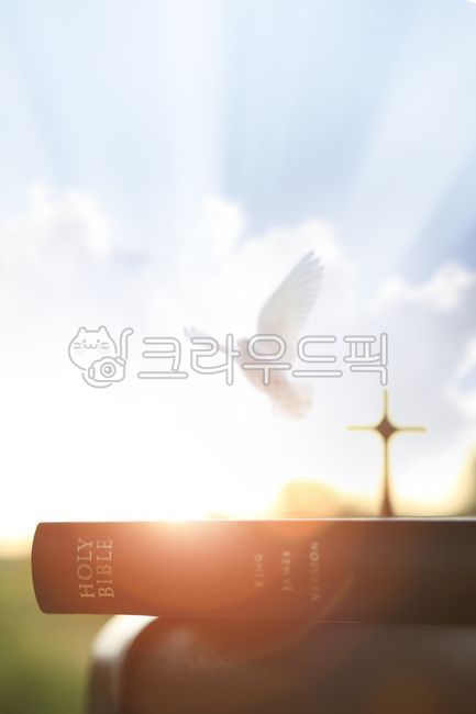 symbol,beam,pray,cloud,beautiful,Holy Ghost,Christ,pigeon,sky,bible,Jesus Christ,resurrection,morning,Lord,jesus,light,background,peace,silhouette,catholic,dawn,trust,Easter,holybible,death,day off,church,Bible,book,equability,faith,hardship,Jesus,The Cro