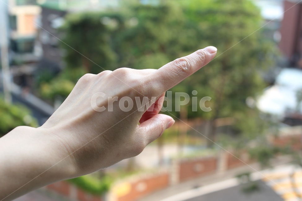 손,핸드,여자,여자손,성인,어른,사람,인체,신체,신체부위,부위,손가락,검지,팔목,방향,가리키다,손,제스처,표시,손짓,표현,gesture,hand,sign,expression