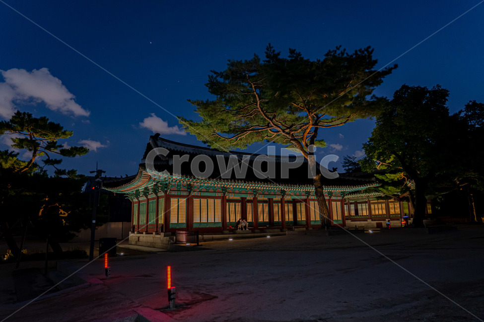 창경궁,야경,고궁,전통,palace,야경,밤,풍경,nightscape,night,landscape,건축물,건물외관,exterior,building,structure,architecture,construction,pagoda,탑,shrine,신사,건물,worship,예배