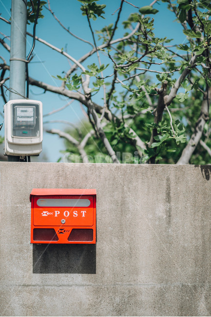 빨강,레드,우체통,감성,우편함,초록,나무,분위기,사물,물건,object,sensitivity,green,red,letterbox,postbox