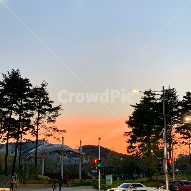 노을,노을진풍경,도심속노을,감성사진,공원,노을진하늘,두가지색하늘,분홍색하늘,신호등