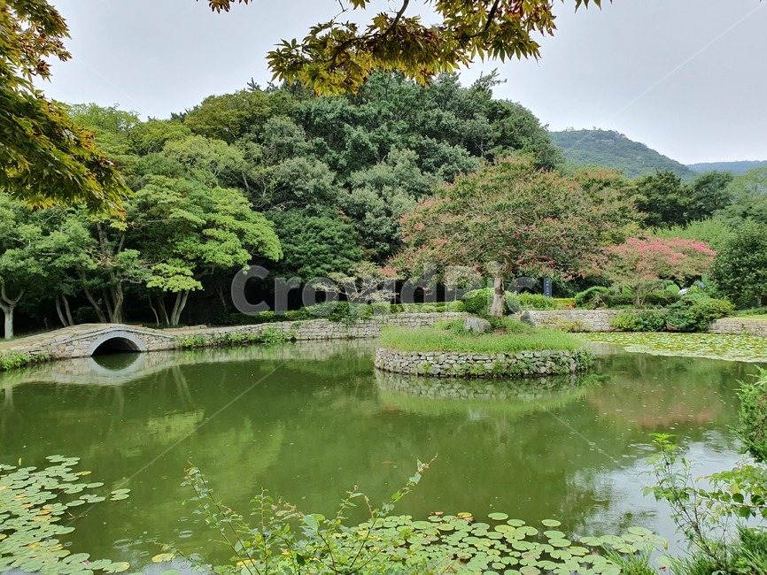 연못,연못풍경,진도운림산방,자연,물,자연,풍경,nature,landscape