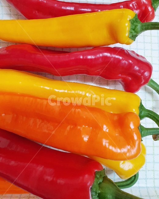 파프리카,야채,고추,식물,파프리카고추,음식재료,채소,야채,vegetables