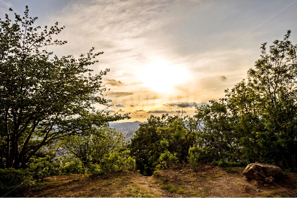 풍경,일몰,서울,용마산,하늘,산,구름,석양,나무,자연,nature,scenery,sunset,tree,정상,sky,cloud,landscape,자연,풍경,nature,landscape,한국자연풍경,한국자연경관,korea nature landscape,ground,바닥