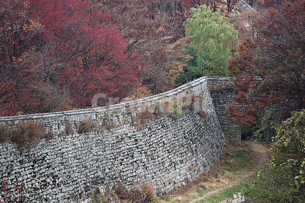 남한산성,성,성곽,단풍,낙엽,길,둘레길,숲,숲길,담,돌담,가을,자연,풍경,벽,울긋불긋,산성,식물,가을,계절,fall,autumn,season