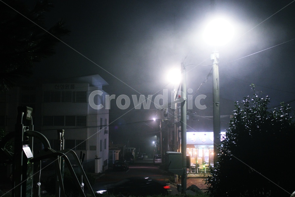 안개,가로등,저녁가로등,mist,streetlamp,야경,밤,풍경,nightscape,night,landscape,골목길,alley,tree,나무,plant,식물