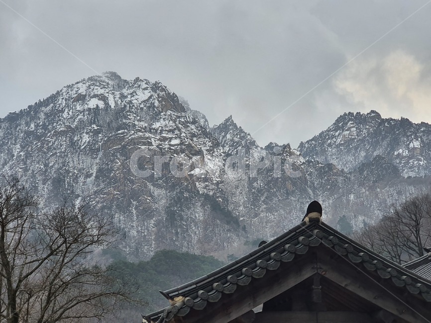 자연,속초,설악산,신흥사,절경