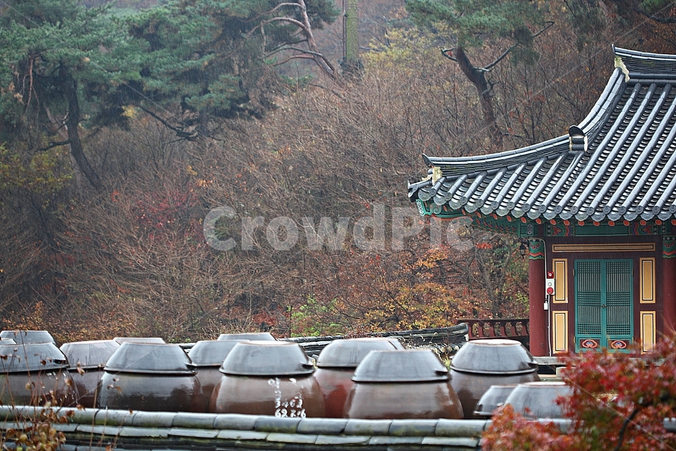 항아리,단지,옹기,단풍,낙엽,가을,자연,풍경,식물,뚜껑,항아리뚜껑,가을,계절,fall,autumn,season,한국전통,한국문화,korean traditional,korean culture