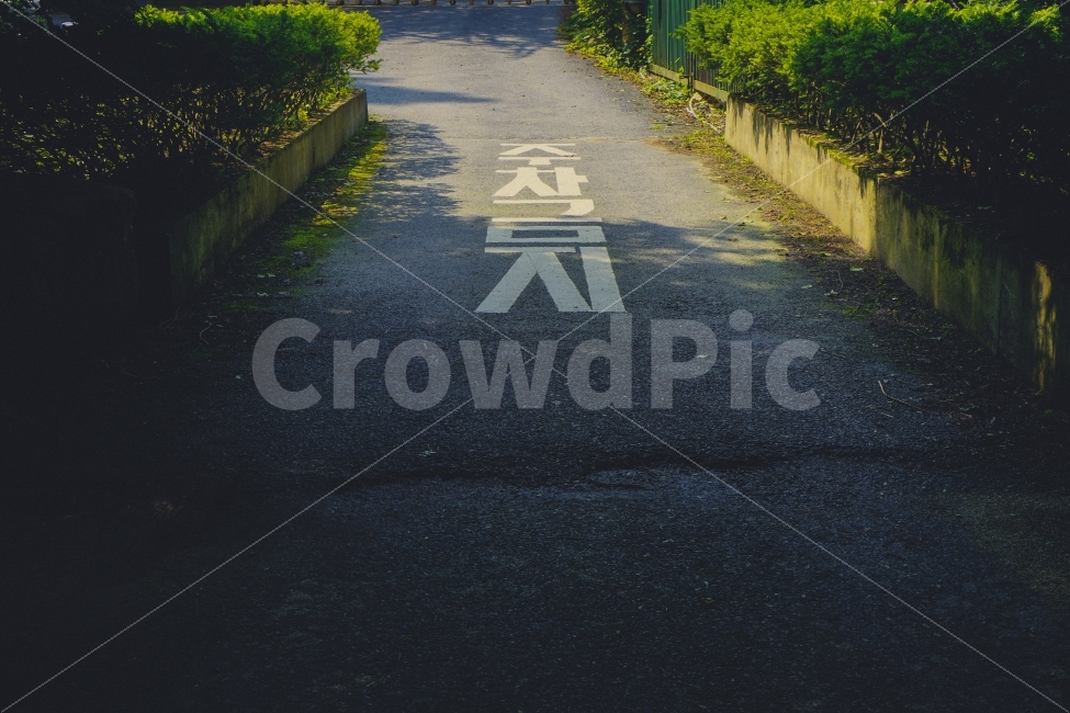 감성사진,여름,휴식,힐링,교통,여행,교통,교통수단,traffic,transportation,asphalt,아스팔트,road,도로