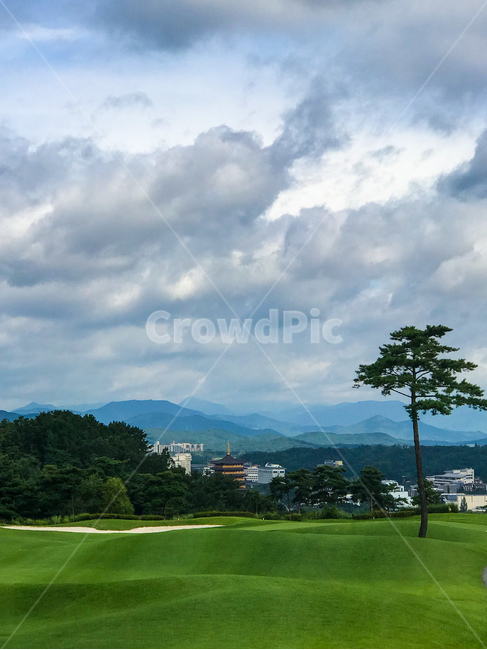 골프,초록,골프장,페어웨이,경주,경주골프장,관광지,운동,초록색,잔디,나무