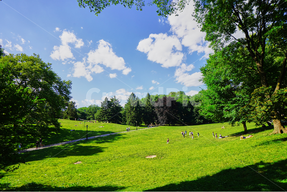 뉴욕,센트럴파크,centralpark,newyork,공원,파란하늘,자연,풍경,nature,landscape,해외,외국,세계,foreign,oversea,world,사람들,대중,군중,other people,crowd,plant,식물,grass,잔디,field,들,outdoors,옥외