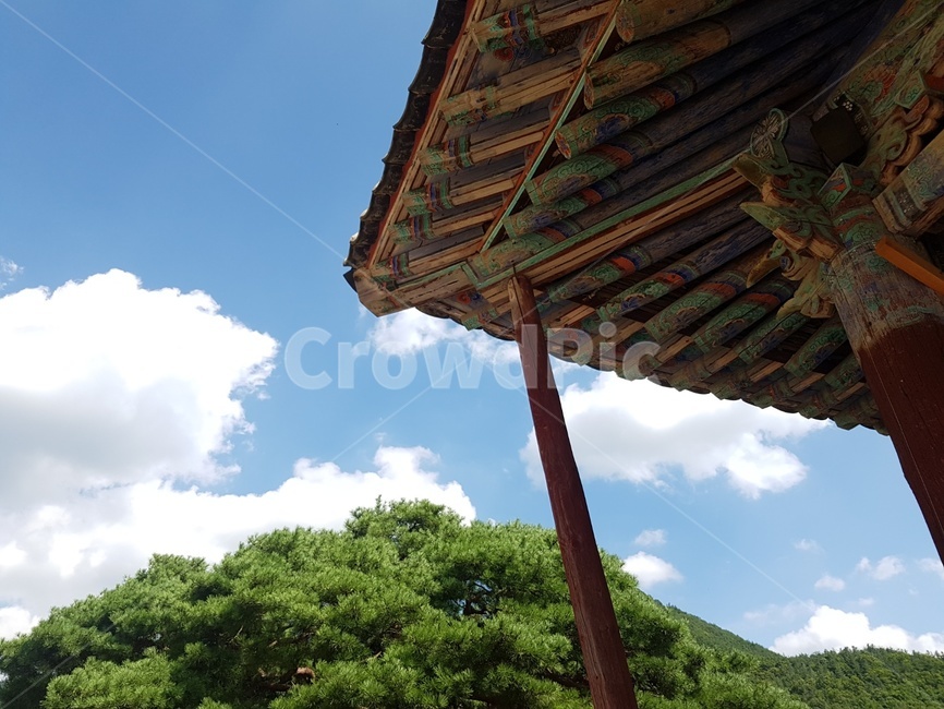 가을하늘,서까래,건물,절,소나무,한국전통,건물외관,색감,청도,운문사
