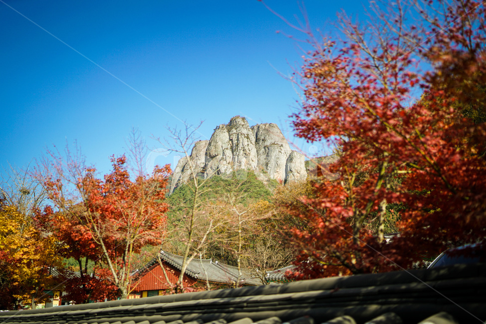 배경,풍경,산,주왕산,기암,단풍,절경,가을,자연,한국,청송