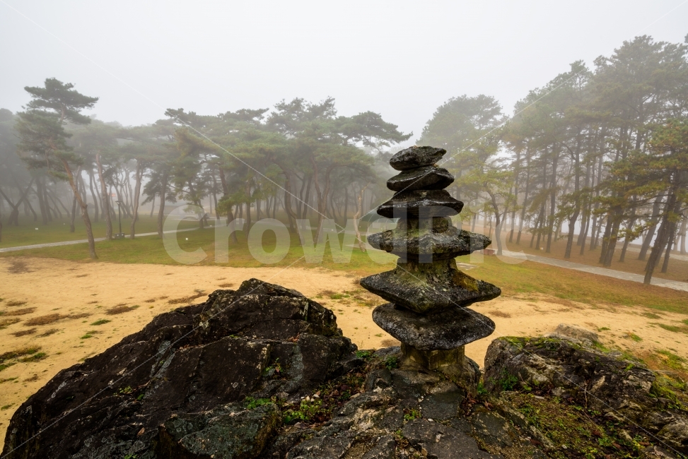 불교,풍경,석탑,소나무,안개,불교석탑,조각상,동상,석상,조형물,statue,bronze statue,stone statue,종교,신앙,religion,belief,faith
