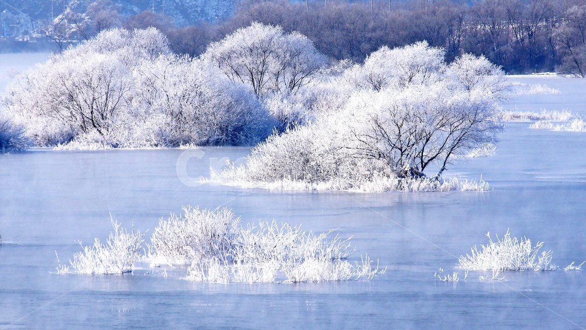 춘천,소양호,소양강,소양강상고대,상고대,겨울,눈꽃,ice,빙,nature,자연,outdoors,옥외,snow,눈,frost,서리,겨울,계절,winter,season,자연,풍경,nature,landscape