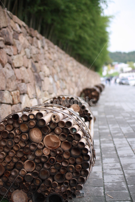 대나무,담양,죽녹원,대나무소품,의자,벤치,bamboo,damyang