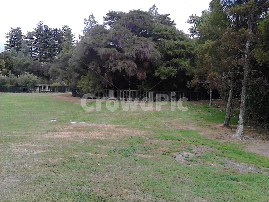 공원,휴식,안식,쉼,한가함,고즈넉함,평온,자연,풍경,nature,landscape,plant,식물,tree,나무,grass,잔디