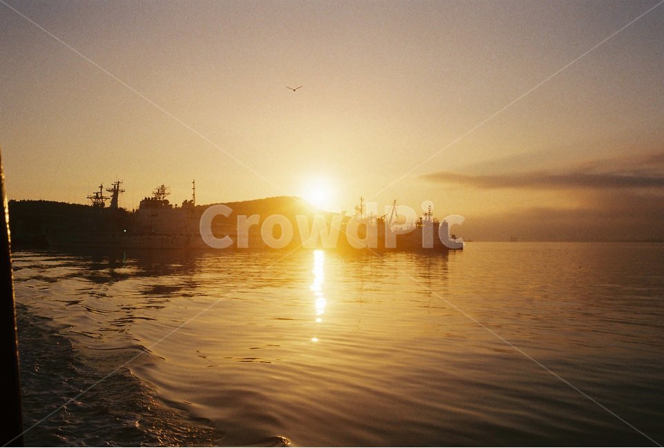 필름,필름사진,바다,풍경,파도,새벽,빛,자연,풍경,nature,landscape,산업,industry,industrial,어업,fishery,fishing industry,light,flare,플레어,sunlight,햇빛,outdoors,옥외